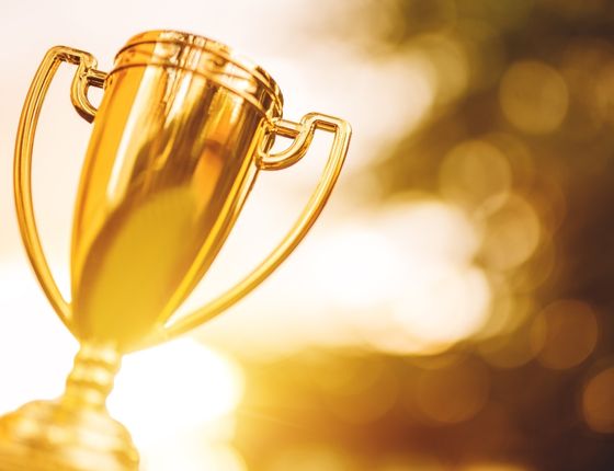 Golden trophy against a bright background representing an award or prize.