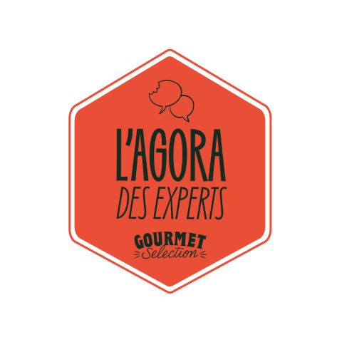 Logo Agora des Experts